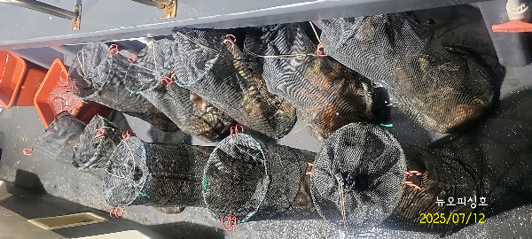 DateCamera0712231830.jpg