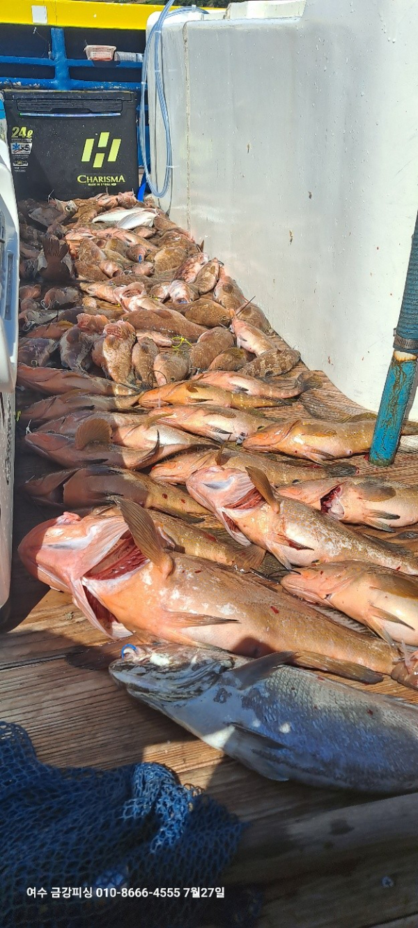 여수금강피싱_사진_20250727_3.jpg