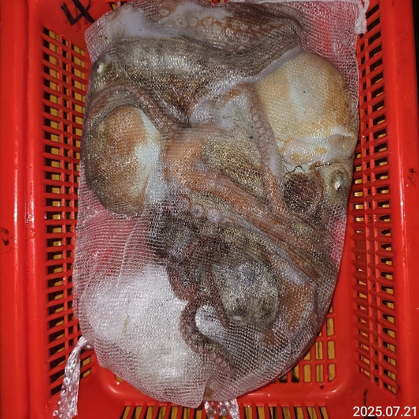 성진피싱 (진해 수도)_사진_20250721_9.jpg