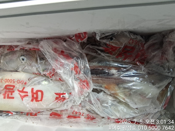 KakaoTalk_20250705_090822041_19.jpg