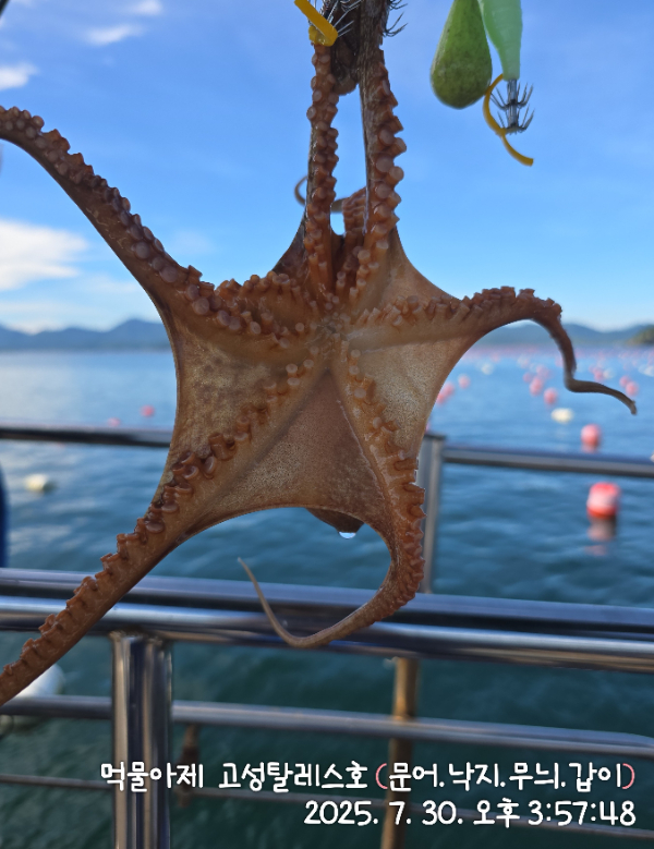 IMG_20250730_155748.jpg