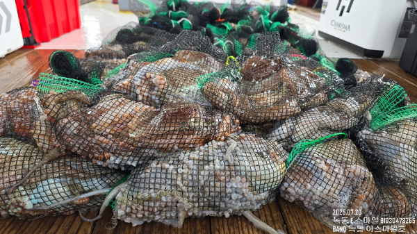 KakaoTalk_20250720_182413084-3.jpg