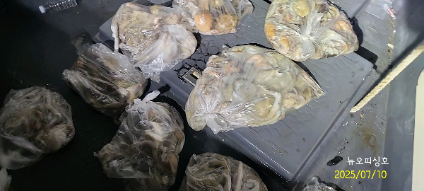 DateCamera0710230830.jpg