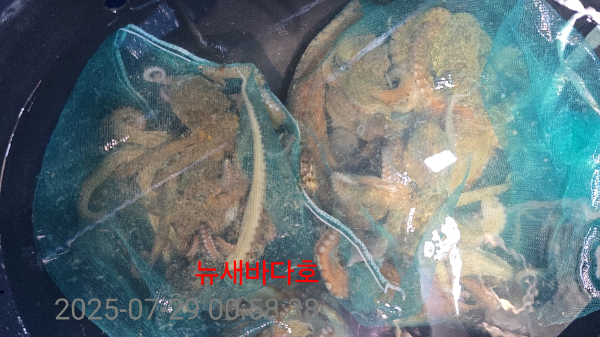 d0ad38dfa75ef0996f0a7582be3c1d52.jpg