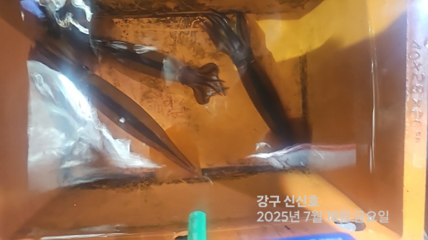 신신낚시 강구점 신신호_사진_20250718_14.jpg