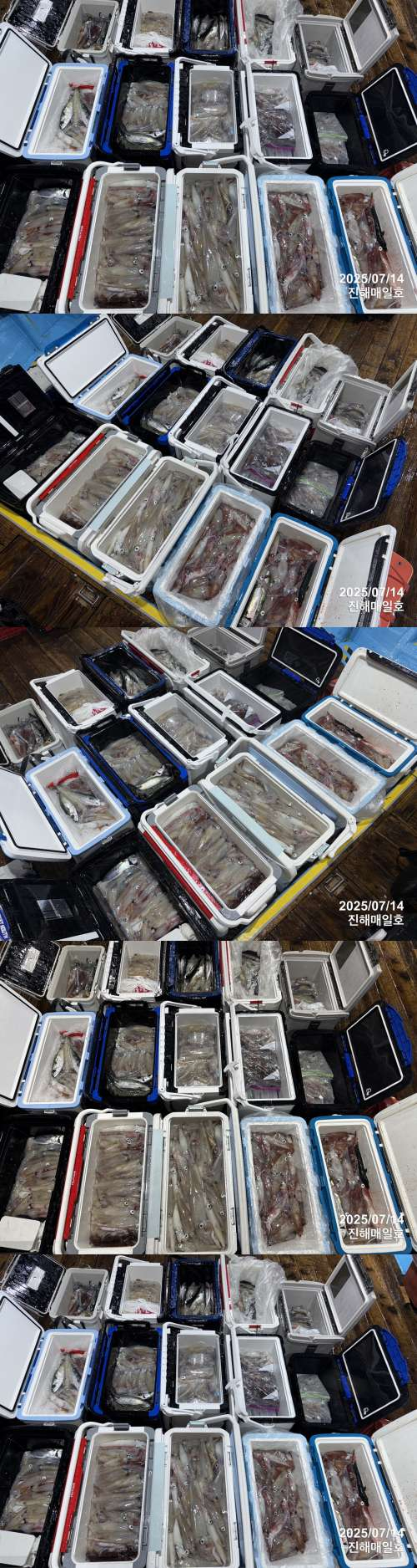 왕한치4.jpg