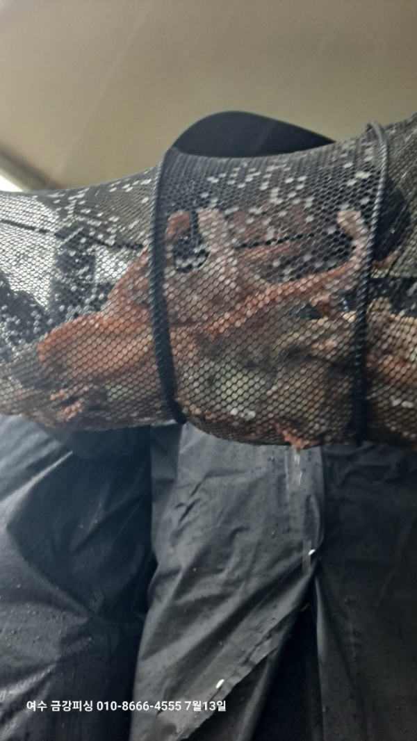 여수금강피싱_사진_20250714_26.jpg