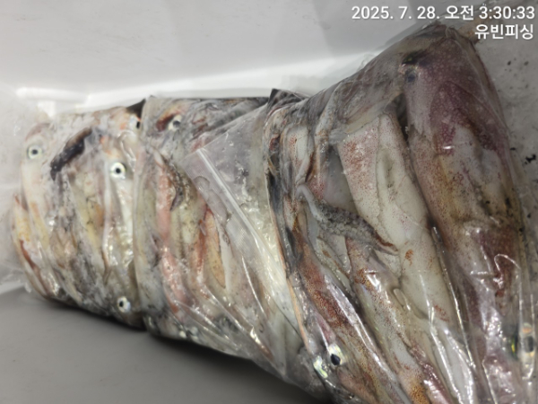 유빈피싱_사진_20250728_2.jpg
