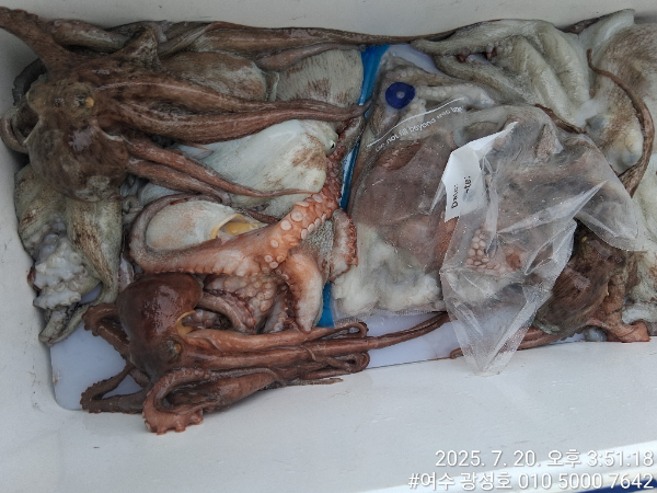 여수광성호(갈치,문어,쭈꾸미,갑오징어,한치,생활낚시)_사진_20250722_19.jpg