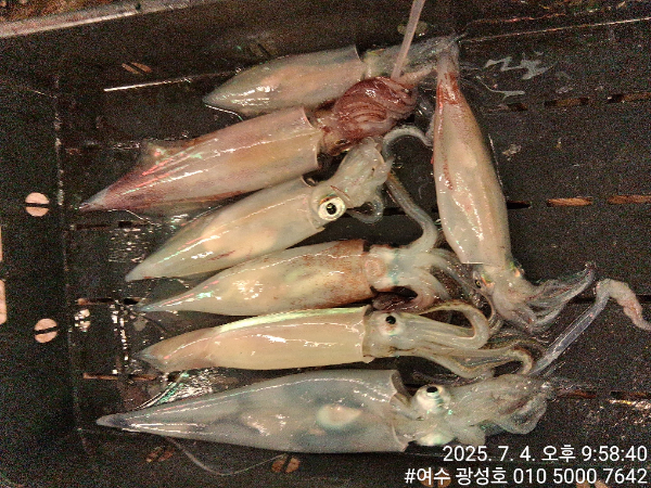 KakaoTalk_20250705_090822041_11.jpg