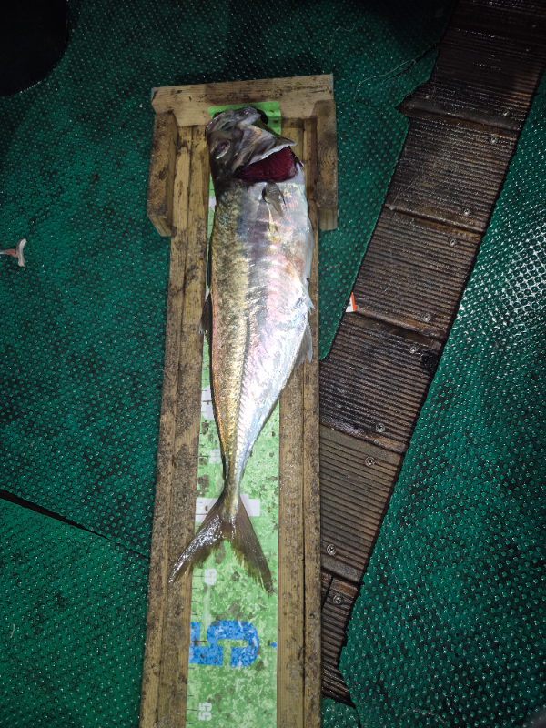 KakaoTalk_20250723_073242771 (1).jpg