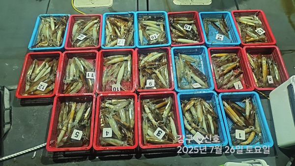 신신낚시 강구점 신신호_사진_20250726_5.jpg