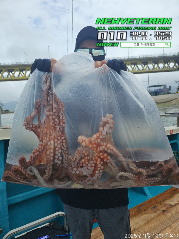 고흥뉴베테랑호_사진_20250719_13.jpg