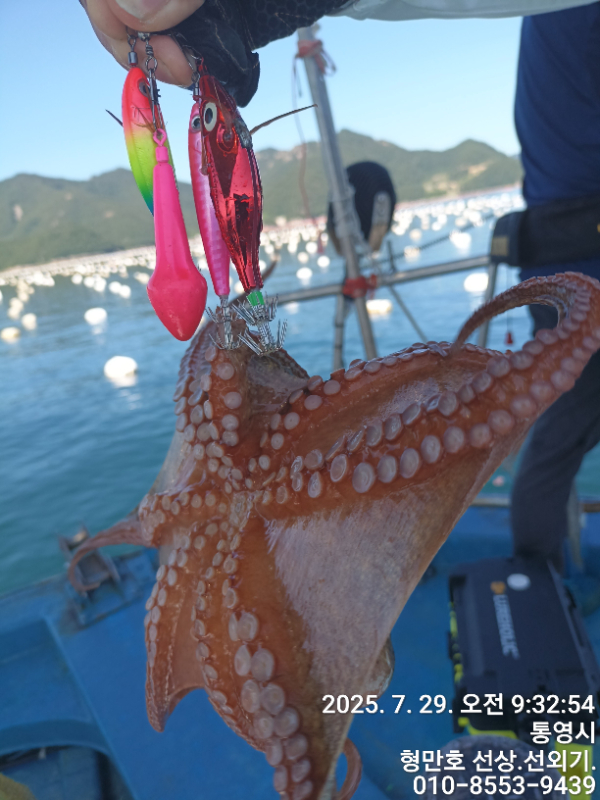 d746b01879bd03b6506a8bde919edf0c.jpg