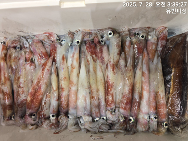 유빈피싱_사진_20250728_4.jpg