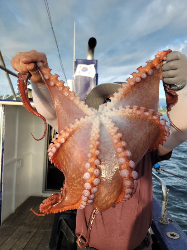 d977f272cb87f6487c8b0d3473f44192.jpg