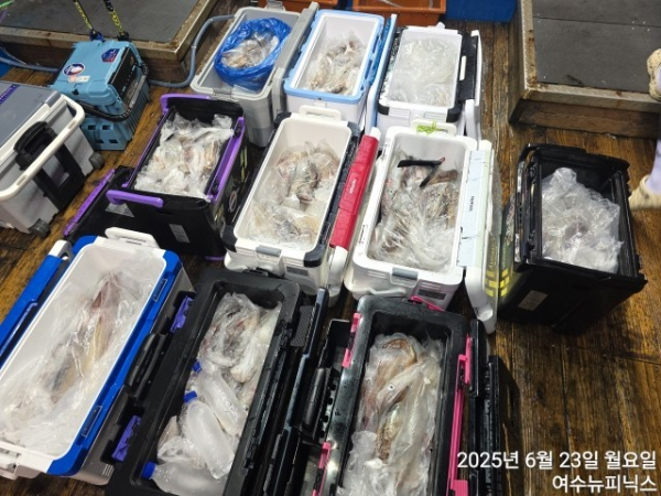 6월23일한치 (72).jpg