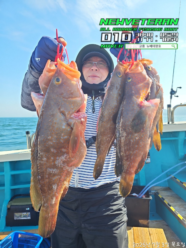 고흥뉴베테랑호_사진_20250703_11.jpg