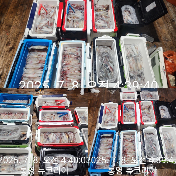 da51887fc7dcdbdbd85cb91b87cb2544.jpg