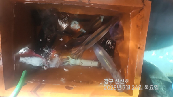 신신낚시 강구점 신신호_사진_20250724_20.jpg