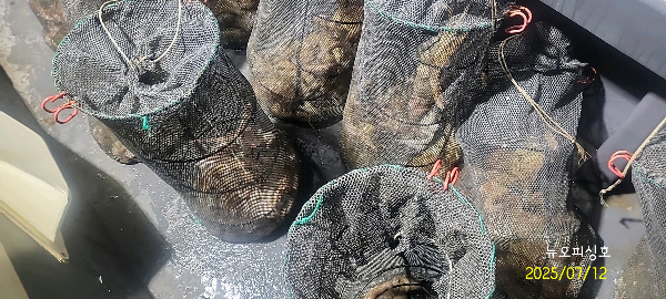 DateCamera0712231827.jpg
