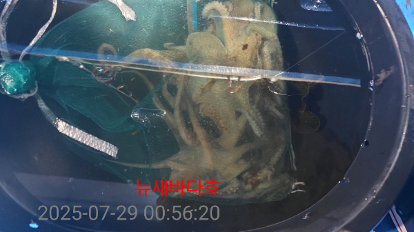 dabb029293e235a81ad49fbc6c912f44.jpg