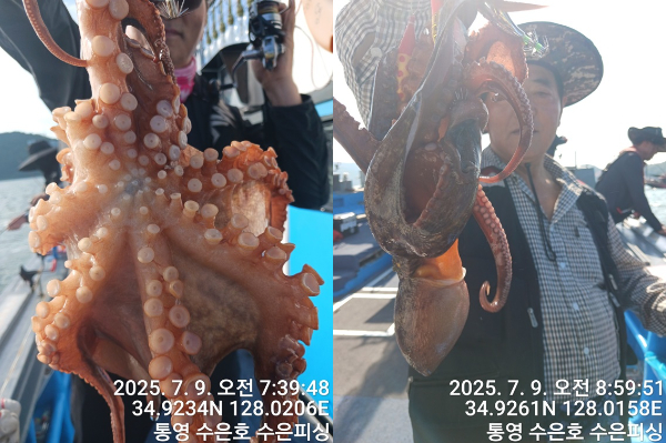 1752019494699-tile.jpg