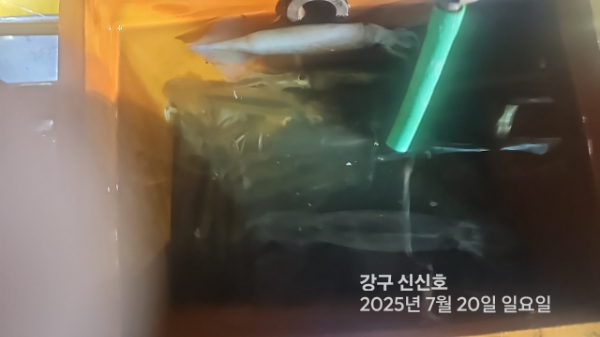 신신낚시 강구점 신신호_사진_20250720_10.jpg