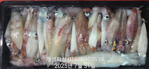 dcc4ad012011f87ab326217ab93edc55.jpg