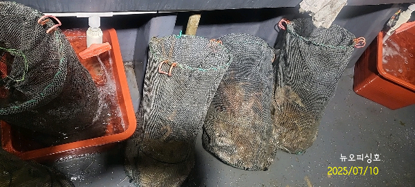 DateCamera0710010722.jpg