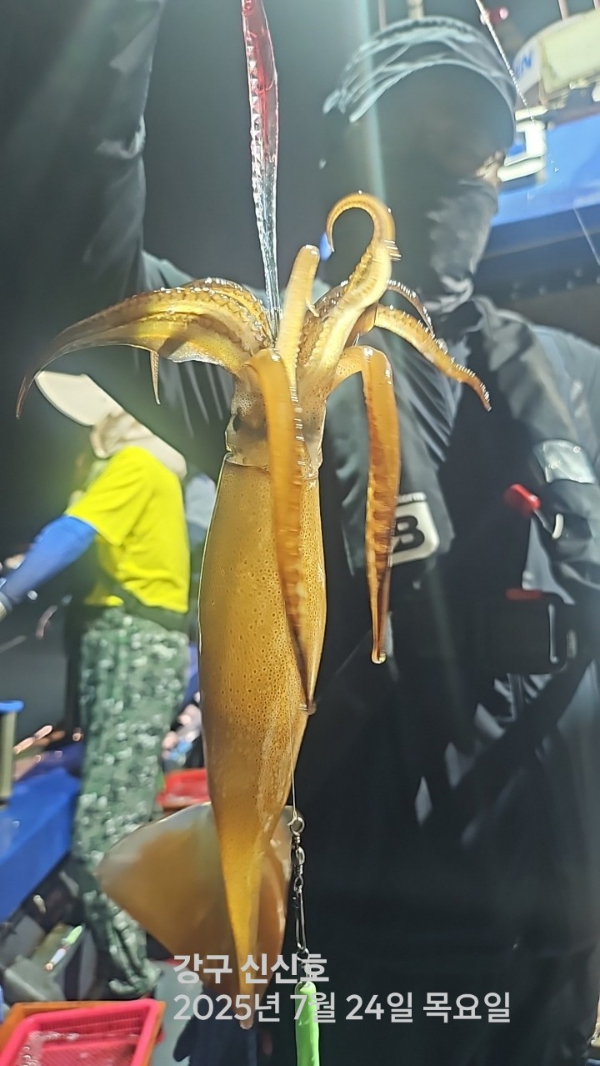 신신낚시 강구점 신신호_사진_20250724_5.jpg