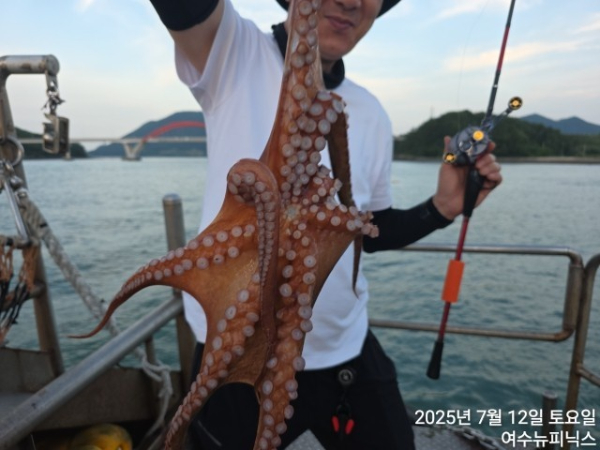 7월12일문어 (28).jpg