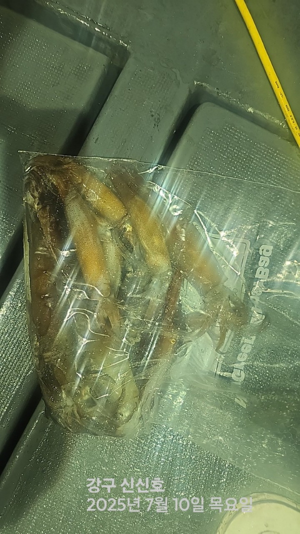 신신낚시 강구점 신신호_사진_20250710_18.jpg