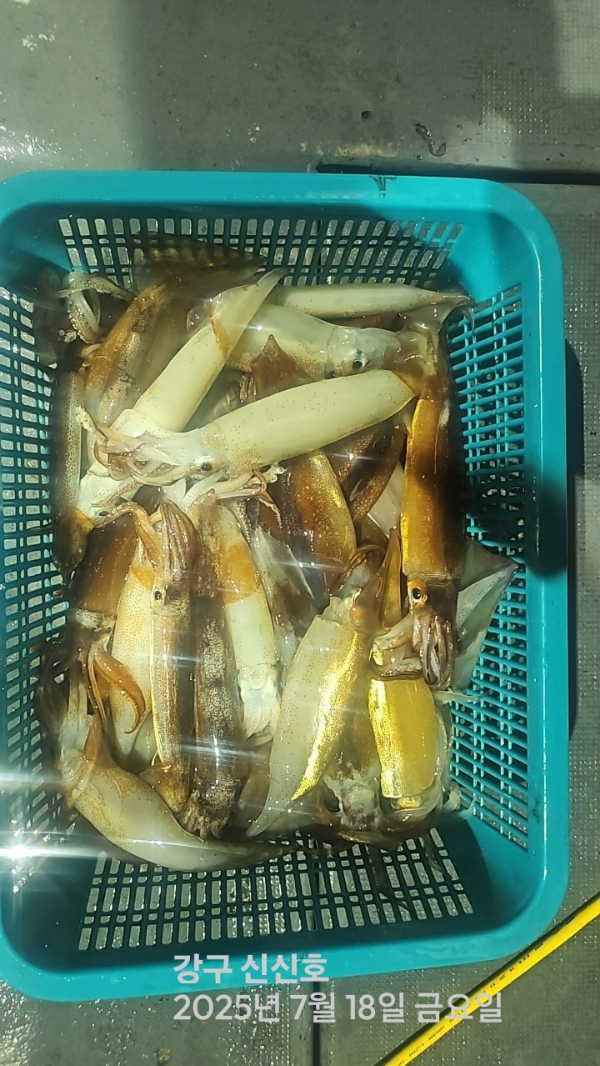 신신낚시 강구점 신신호_사진_20250718_3.jpg