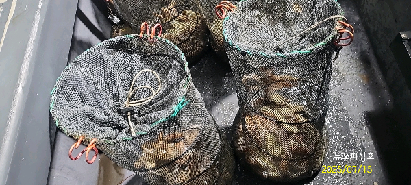 DateCamera0715024543.jpg