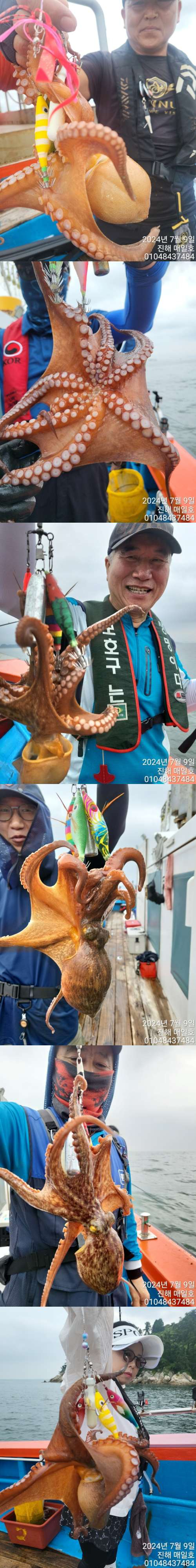 돌문어2.jpg
