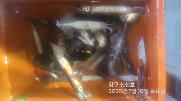 신신낚시 강구점 신신호_사진_20250710_3.jpg