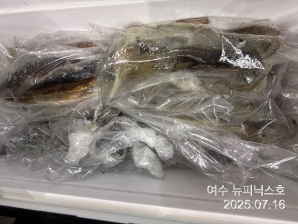 7월16일한치 (17).jpg