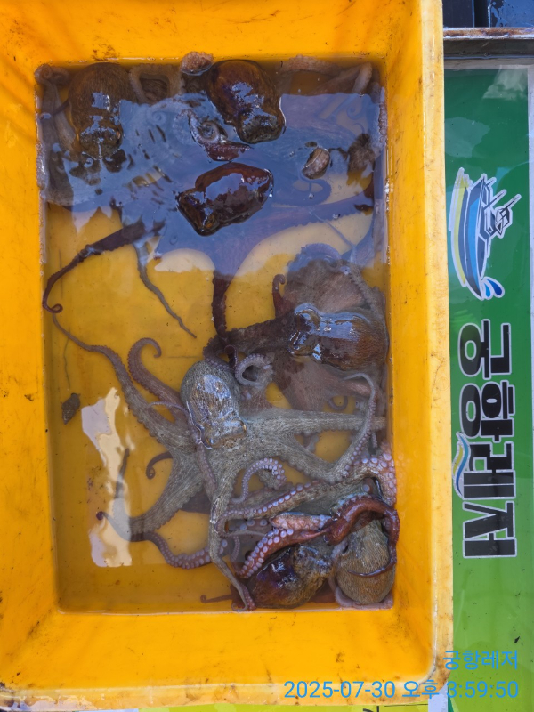 궁항레저_사진_20250731_2.jpg
