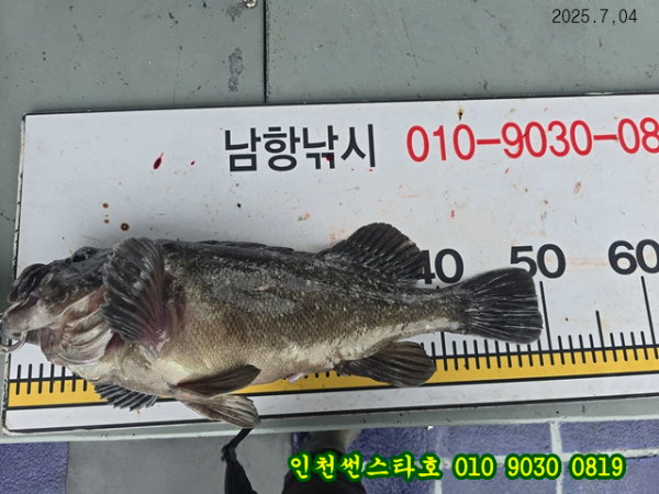 7월4 썬 (23).jpg