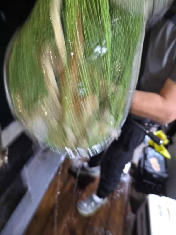 e13babb4f9a210b5f5f81011a1782530.jpg