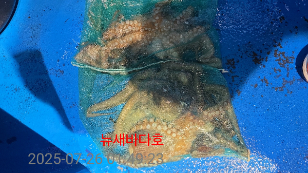e17fcb45be023e01d33494fe890a0059.jpg