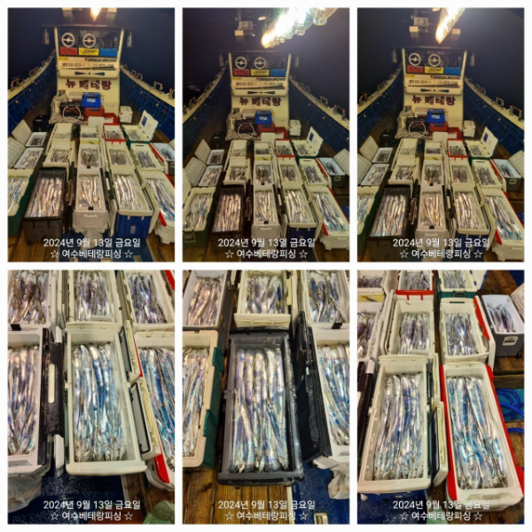 1000079325.jpg