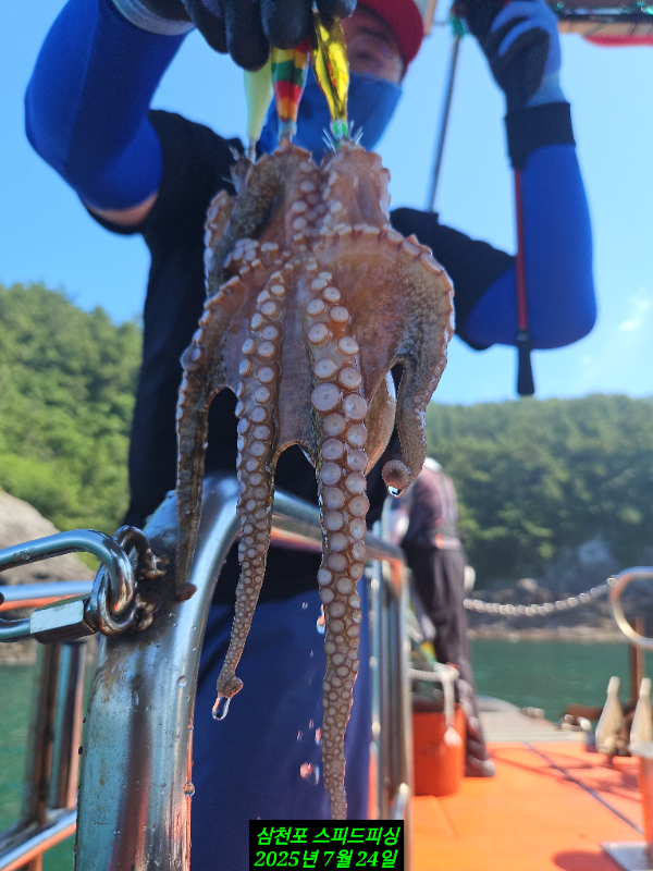 KakaoTalk_20250724_174138390_01.jpg
