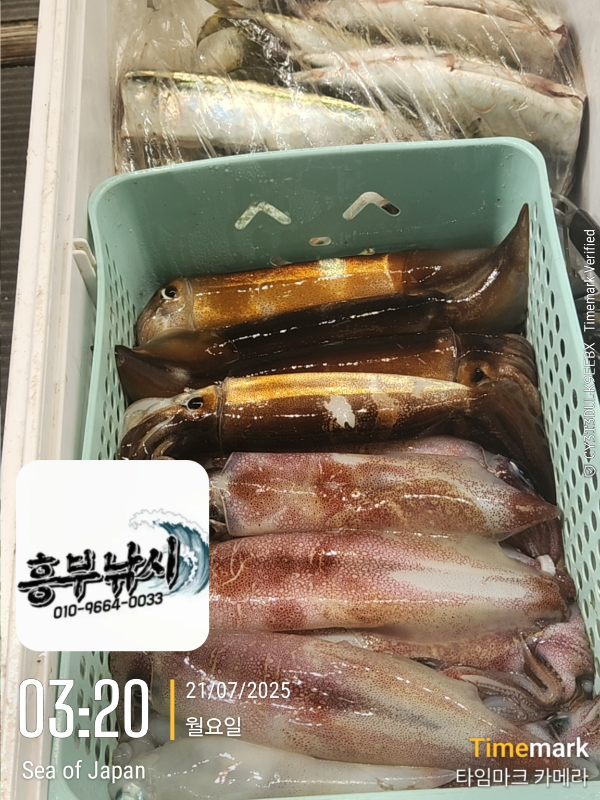 e33884d0886d38b093c3fe92a5a511b5.jpg
