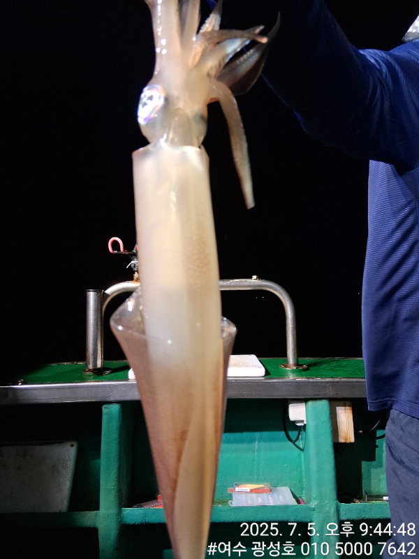 KakaoTalk_20250706_112615269_03.jpg