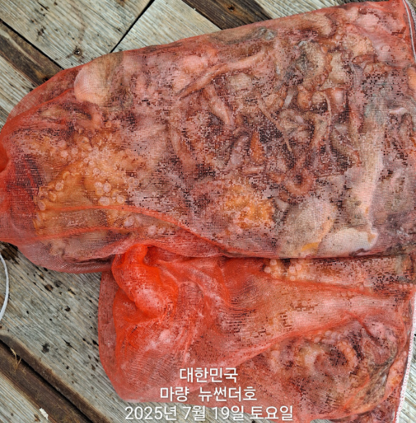 e3af905e8371fc4f8e6a5bf3295a248b.jpg
