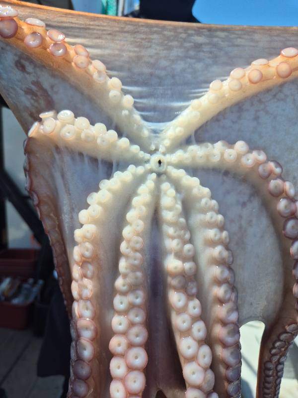 e4b2d3a523da93e4174f6ab565f10f60.jpg