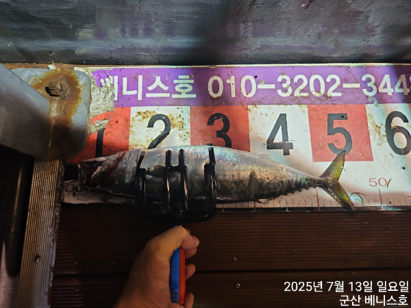 KakaoTalk_20250714_033202059.jpg
