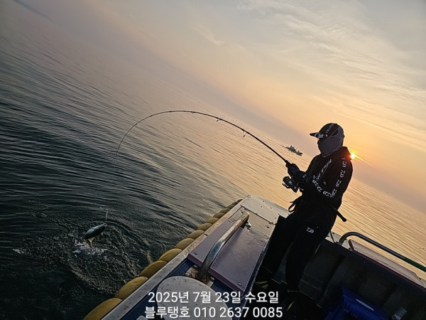 20250723_054340.jpg